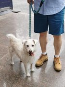 <b>欠亨衡宇买卖、拆修设想等专业学问</b>